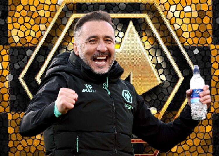 CONGRATULATIONS: wolve fc have Appointed American Former Professional Football Legend Steve Bull As New Assistant coach and his ….more